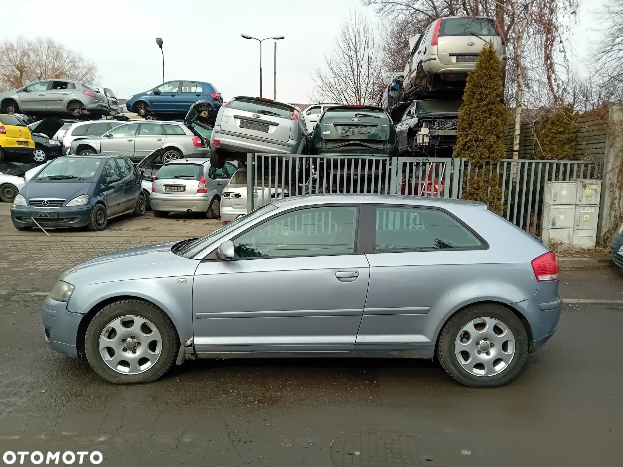 *AUDI A3 8P* Samochód na części - 1