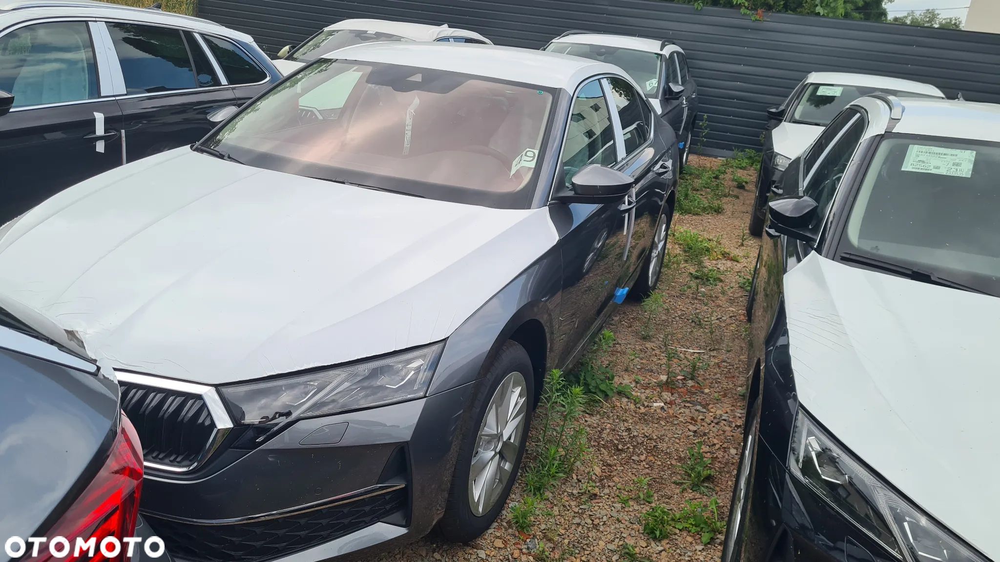 Skoda Octavia 1.5 TSI Edition 130 Selection - 1