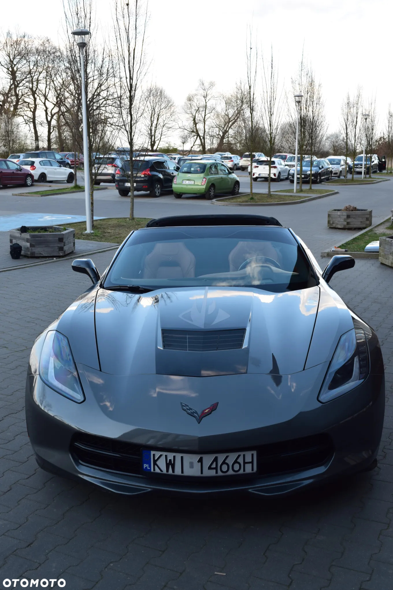 Chevrolet Corvette Stingray 3LT 6.2 V8 Automatik - 25