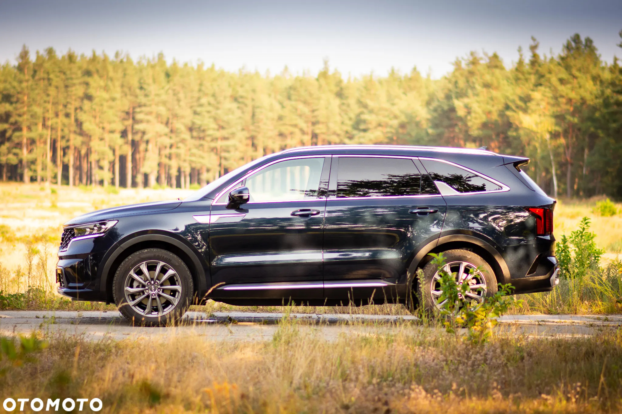 Kia Sorento - 4