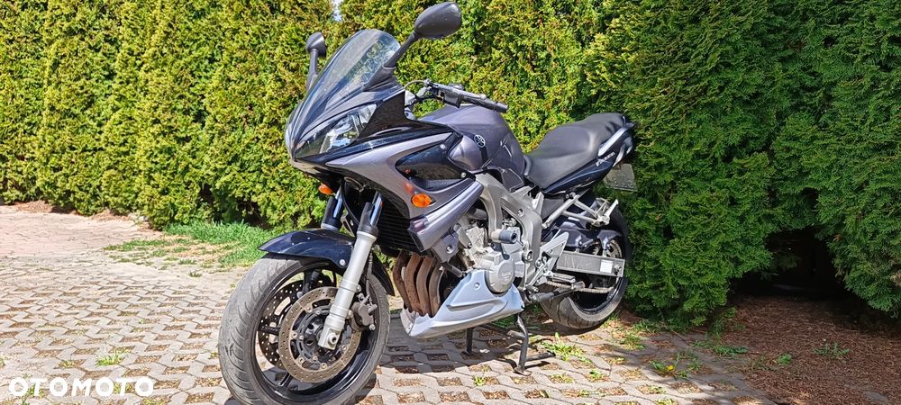 Yamaha FZ6 - 1