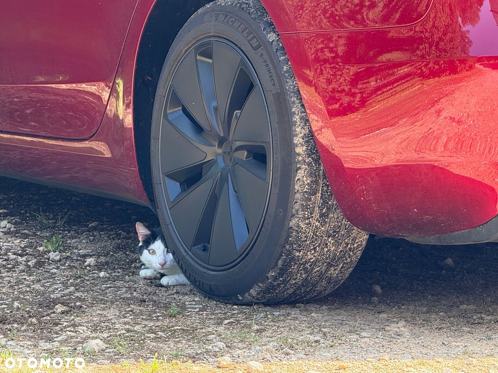 Tesla Model 3 Long Range AWD Premium - 9