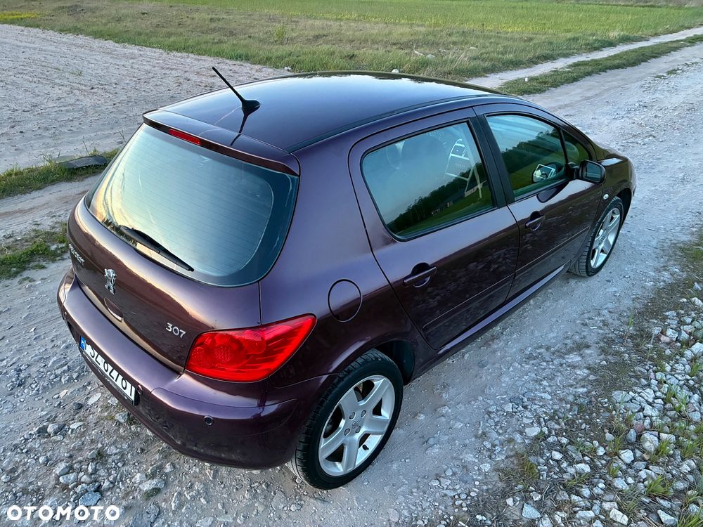 Peugeot 307 2.0 XT - 18