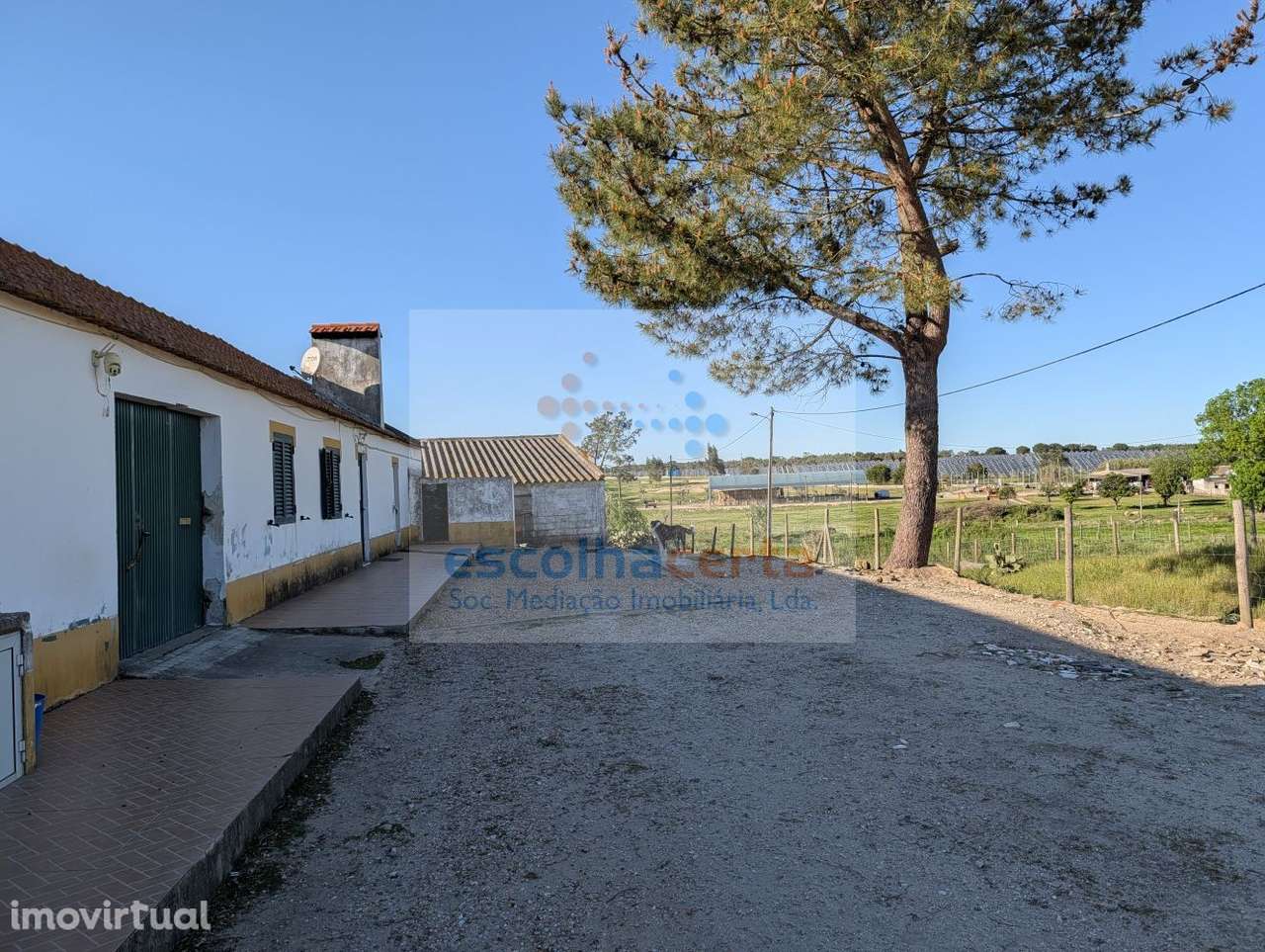Quinta com Moradia Bifamiliar + 2,5 Hectares em Pegões | Investimento - Grande imagem: 3/12