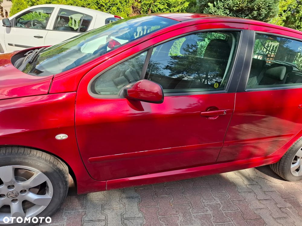 Peugeot 307 1.6 HDI Oxygo - 13