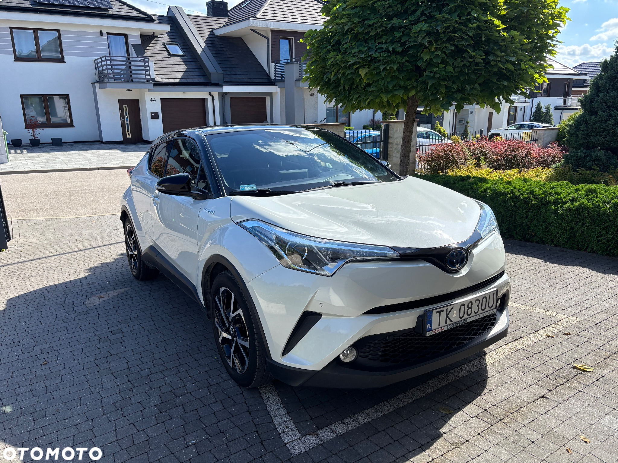Toyota C-HR 1.8 Hybrid Dynamic - 3