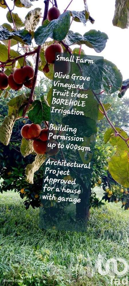 Terreno em Castelo - Grande imagem: 4/32