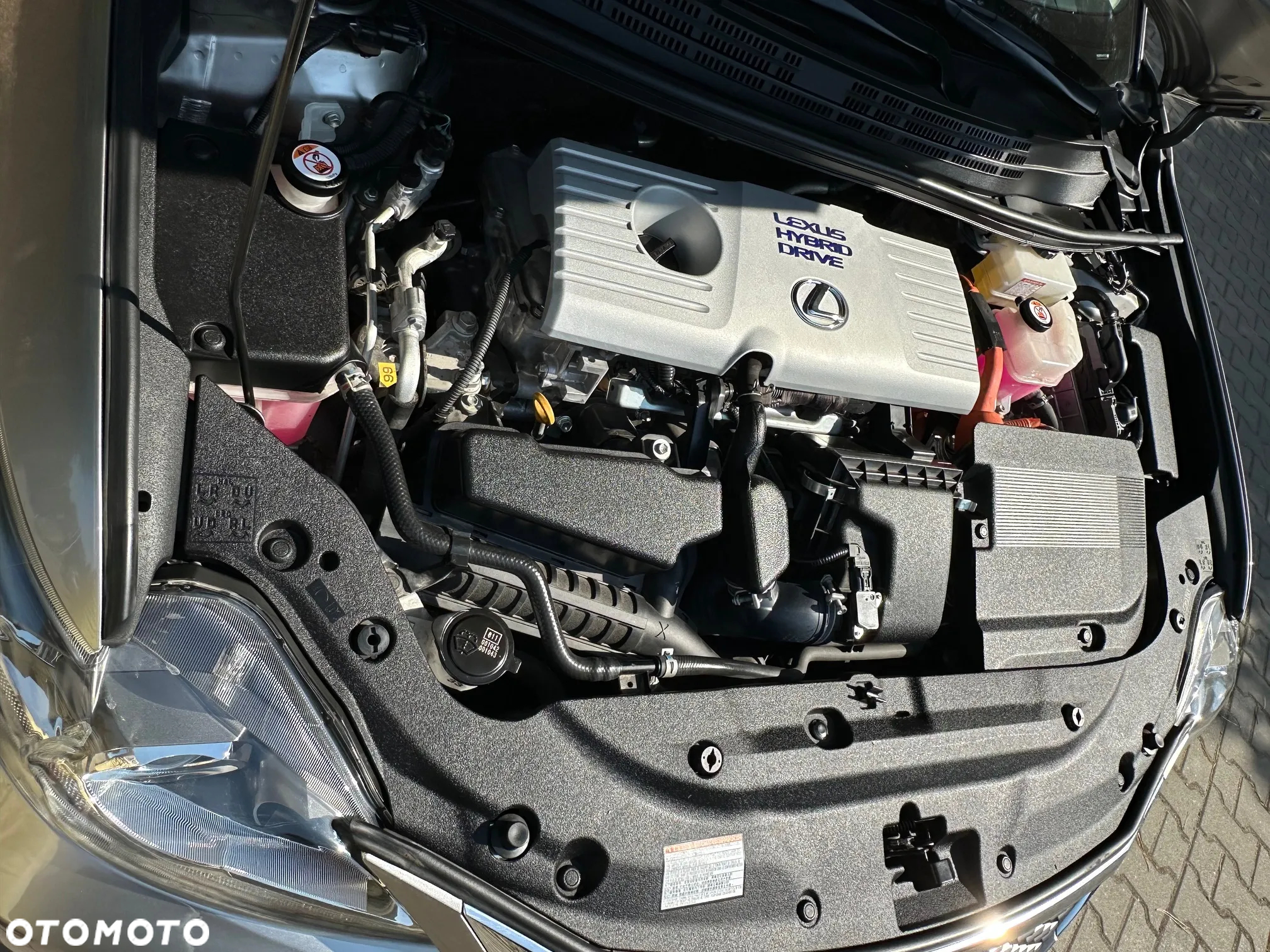 Lexus CT 200h Dynamic Line - 20