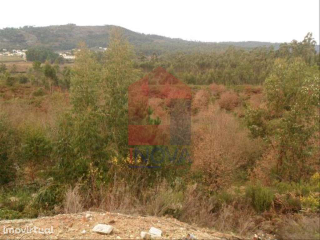 Vende-se Terreno, Cervães - Grande imagem: 3/6