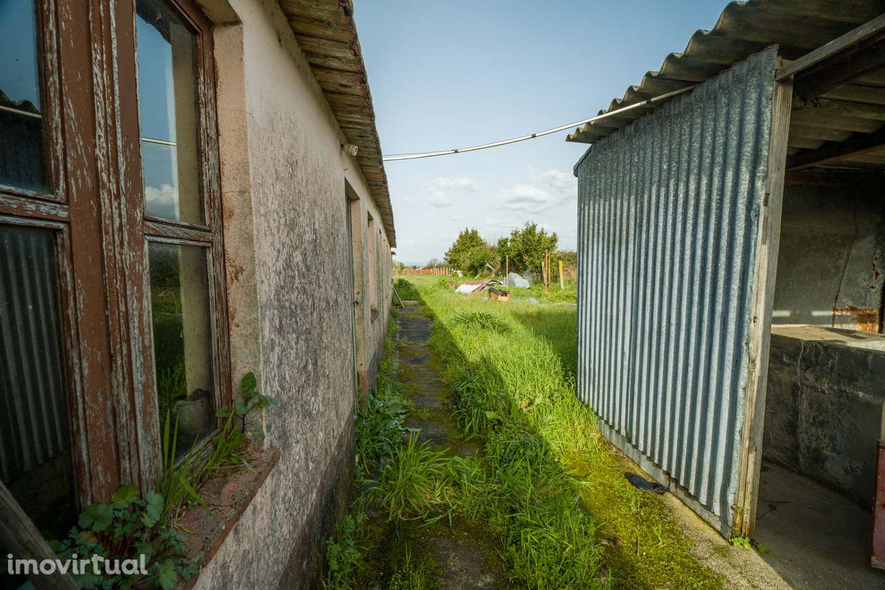 Moradia T3 à venda em Murtosa - Grande imagem: 4/8