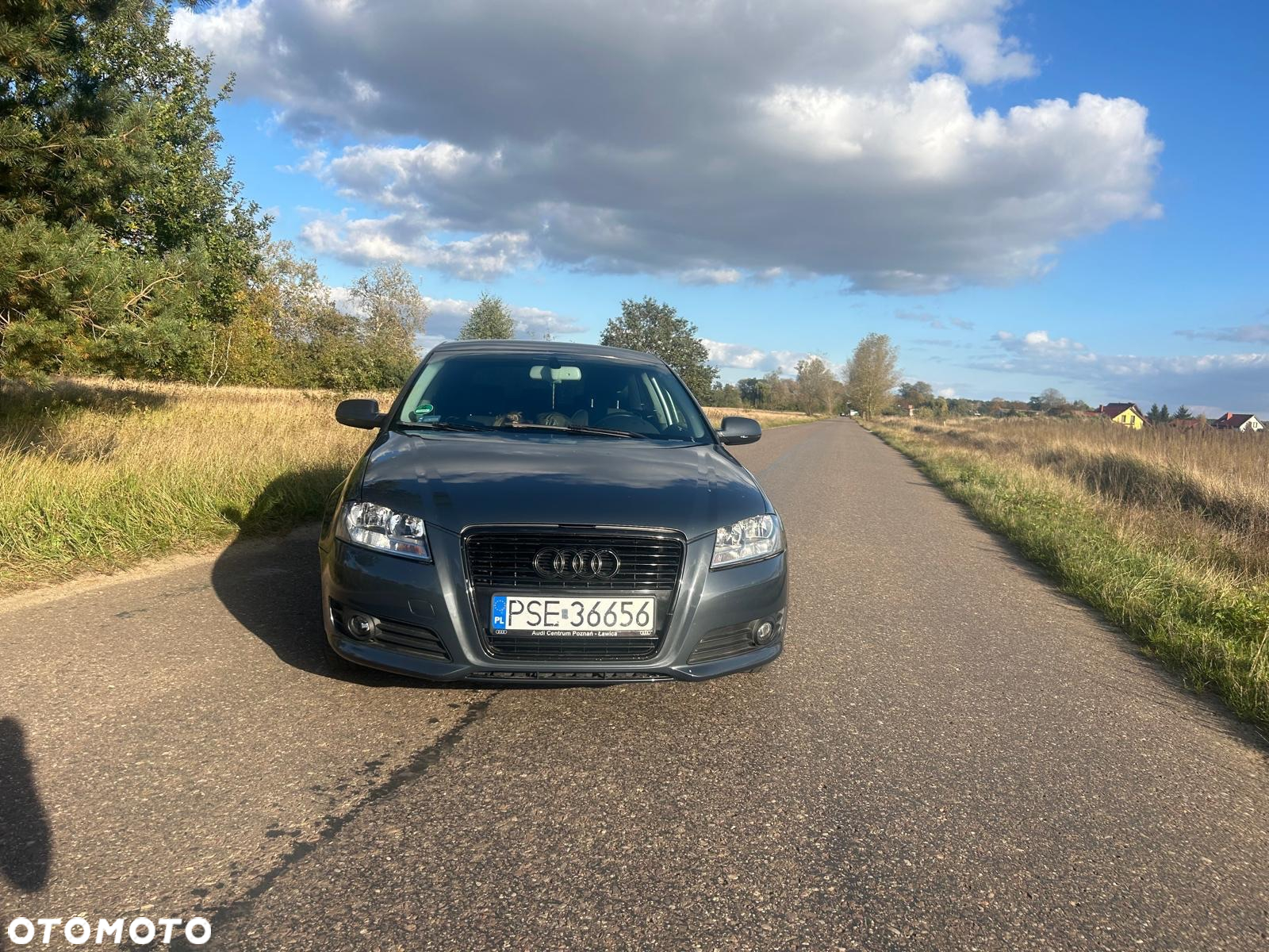 Audi A3 - 5