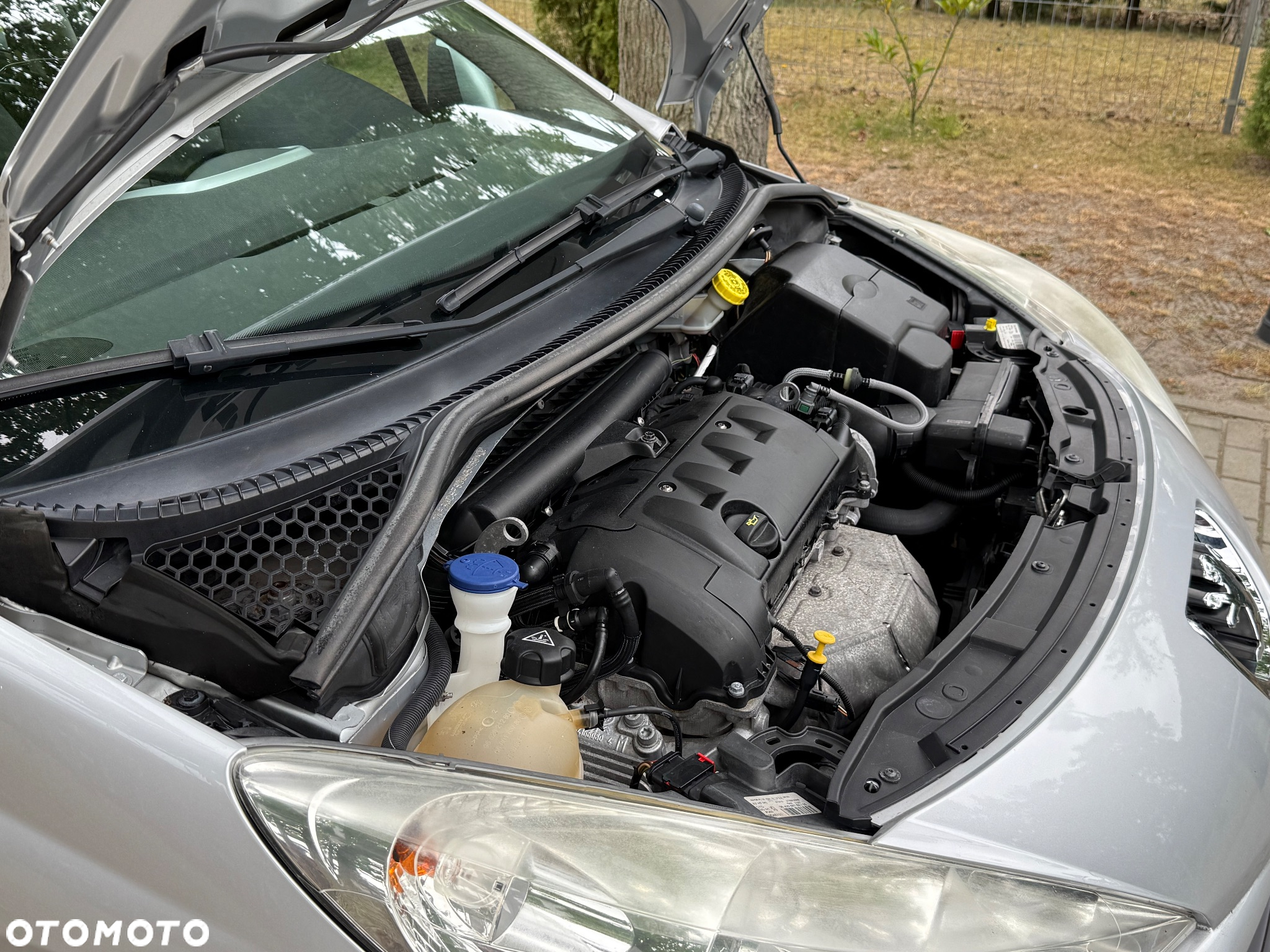 Peugeot 207 - 10