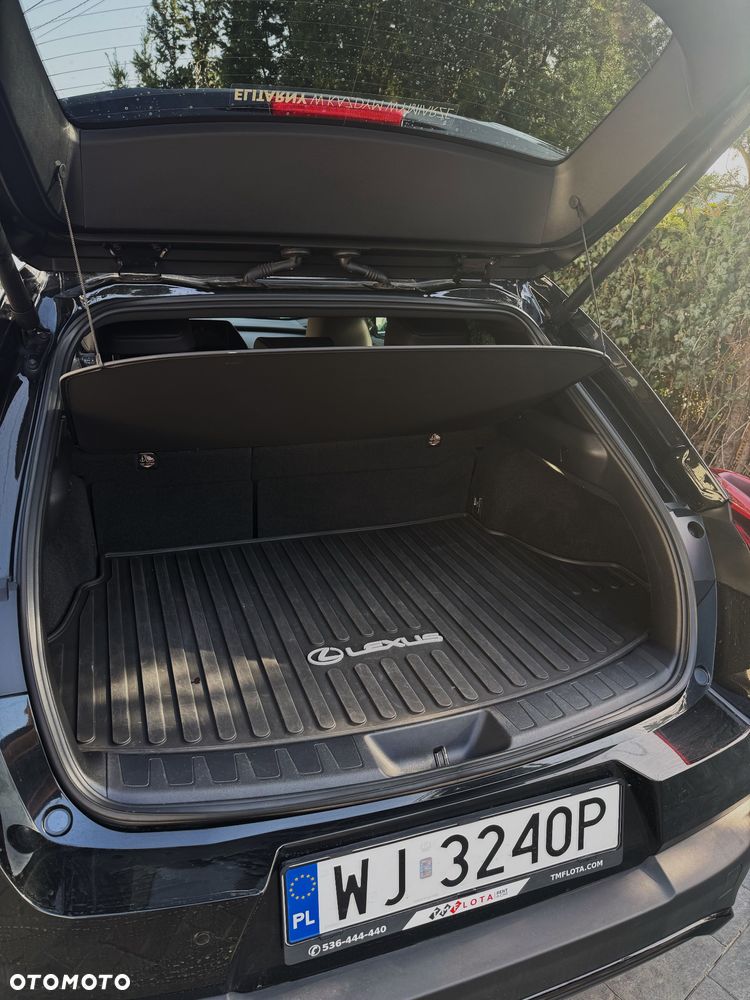 Lexus UX 250h F Sport 2WD - 10