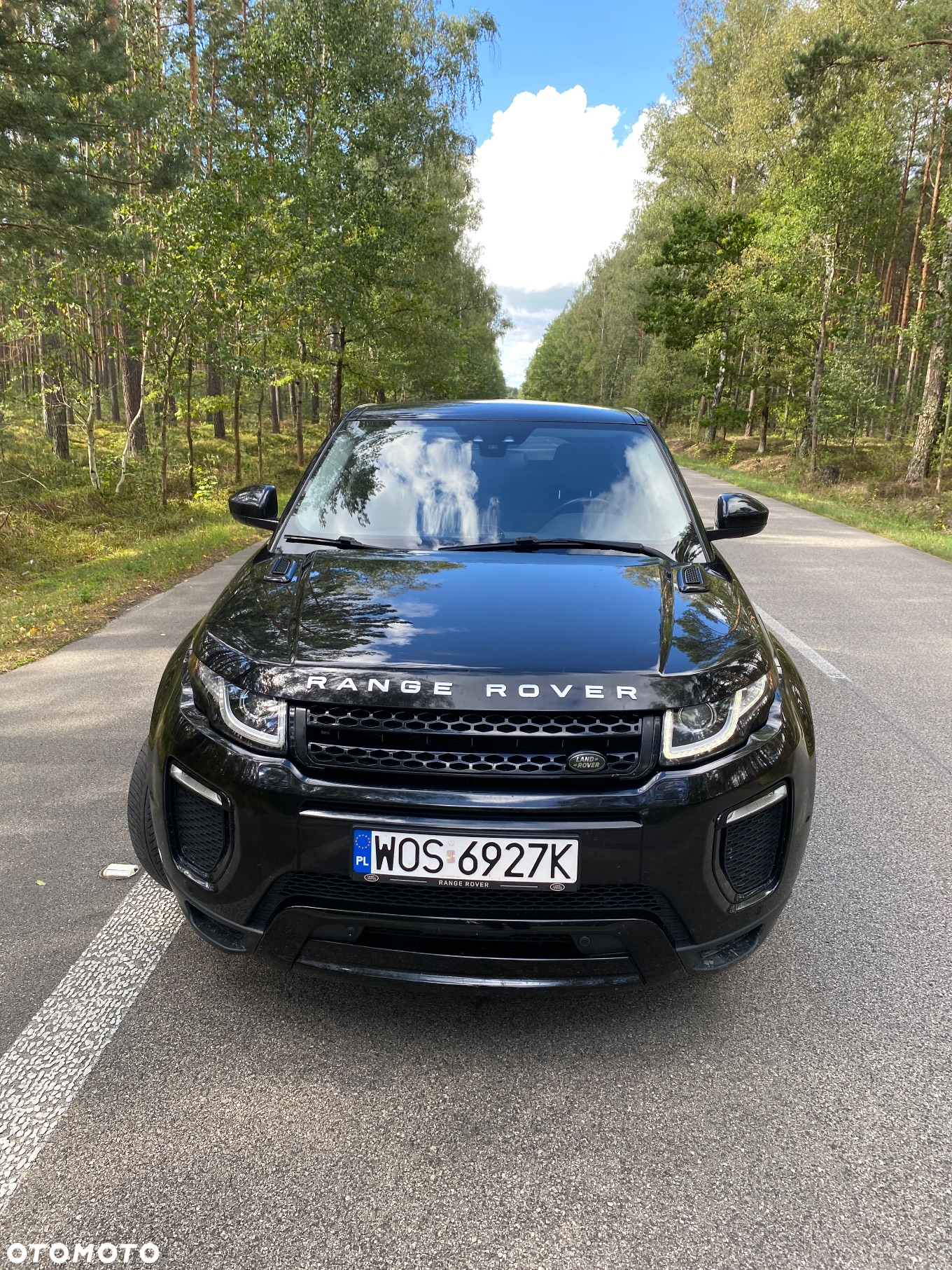 Land Rover Range Rover Evoque 2.0TD4 SE Dynamic Special Edition - 3