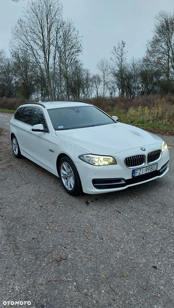 BMW Seria 5 520d Luxury Line - 2