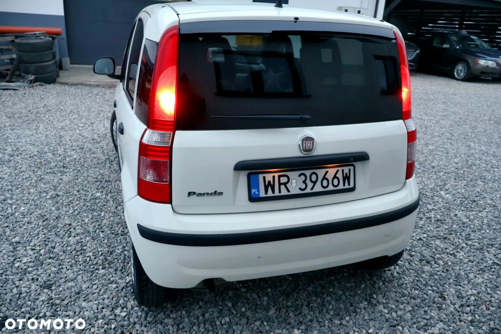 Fiat Panda 1.2 Active Eco - 4