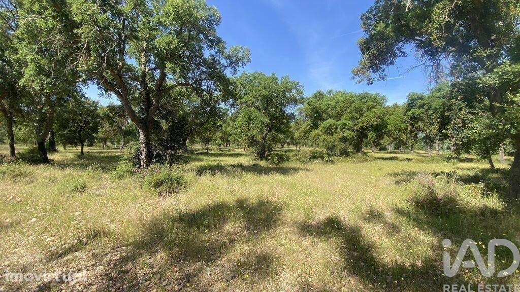 Terreno T2 em São Facundo e Vale das Mós de 568000,00 m2 - Grande imagem: 3/6
