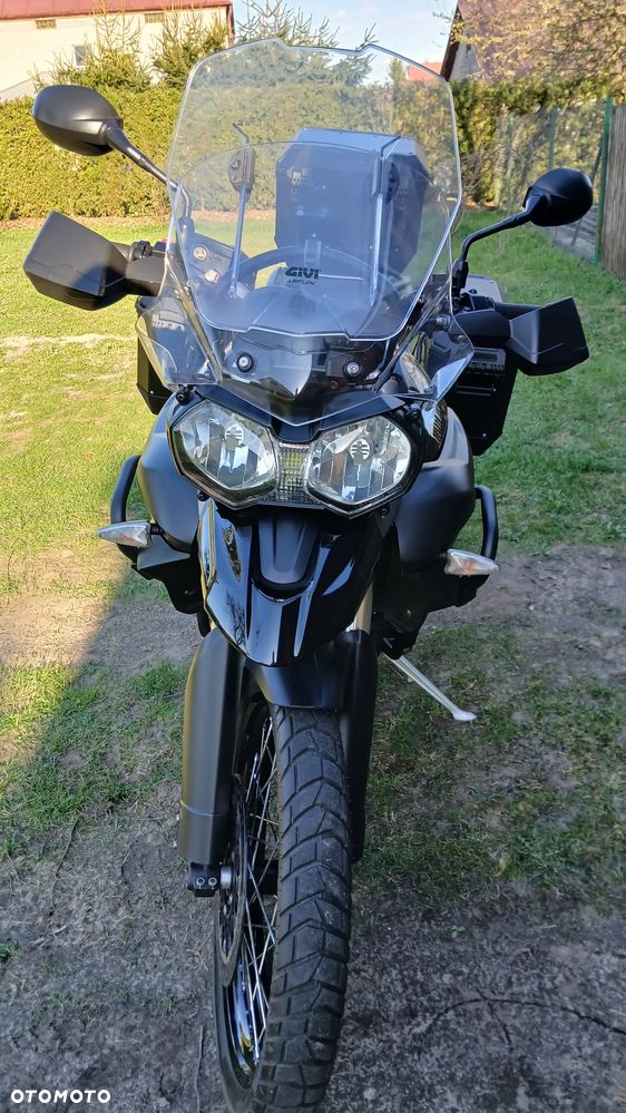 Triumph Tiger - 8