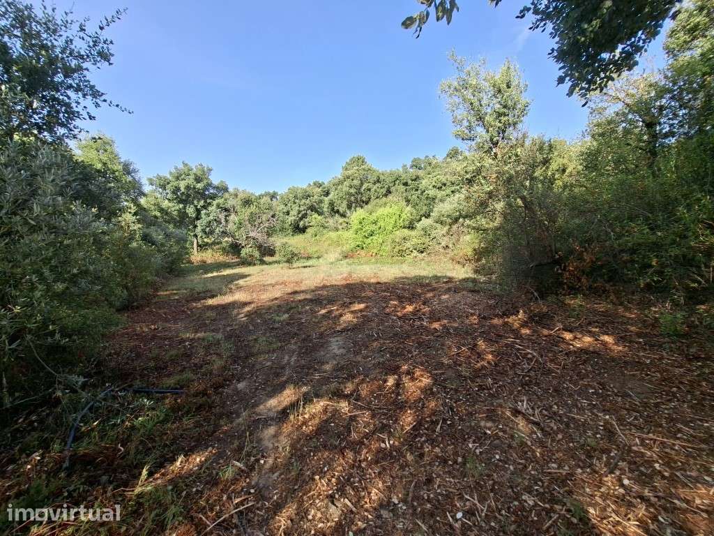 Terreno Agrícola - Telhado / Fundão - 50.000 m² (5 ha) - Grande imagem: 2/10