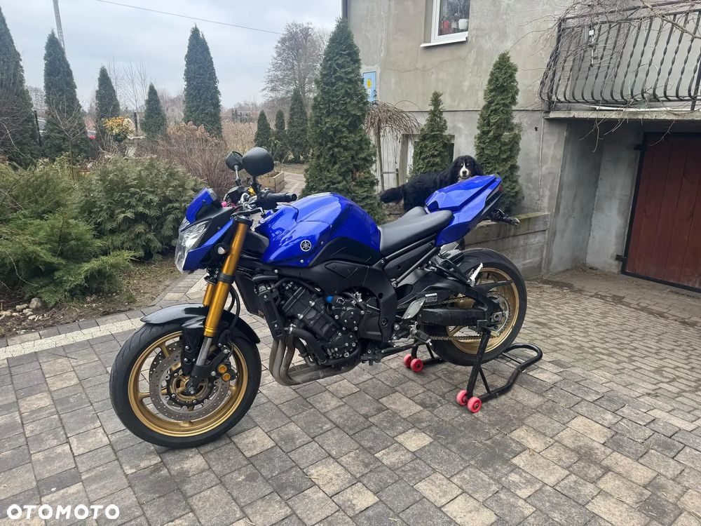 Yamaha FZ8 - 6
