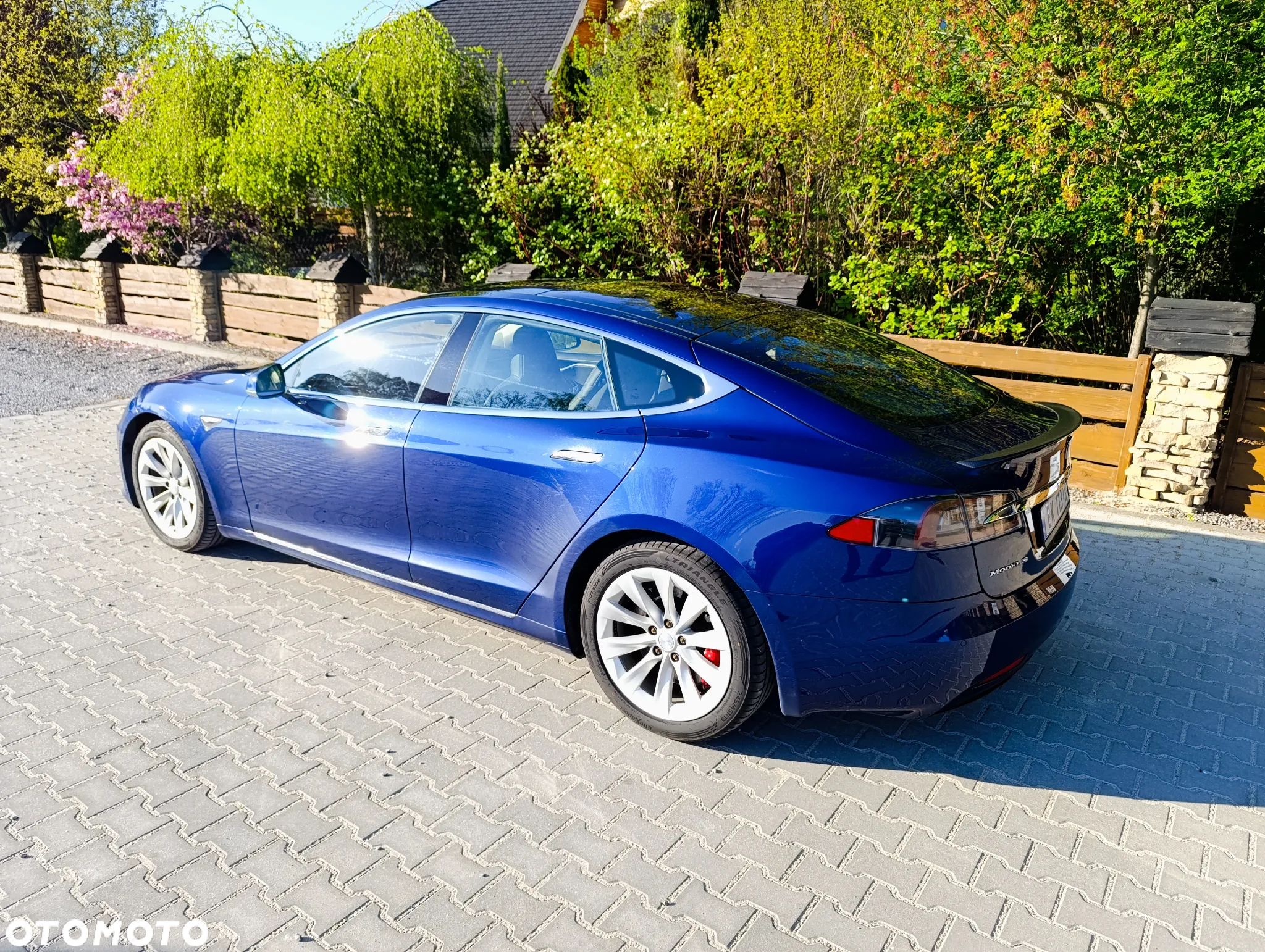 Tesla Model S Performance - 14