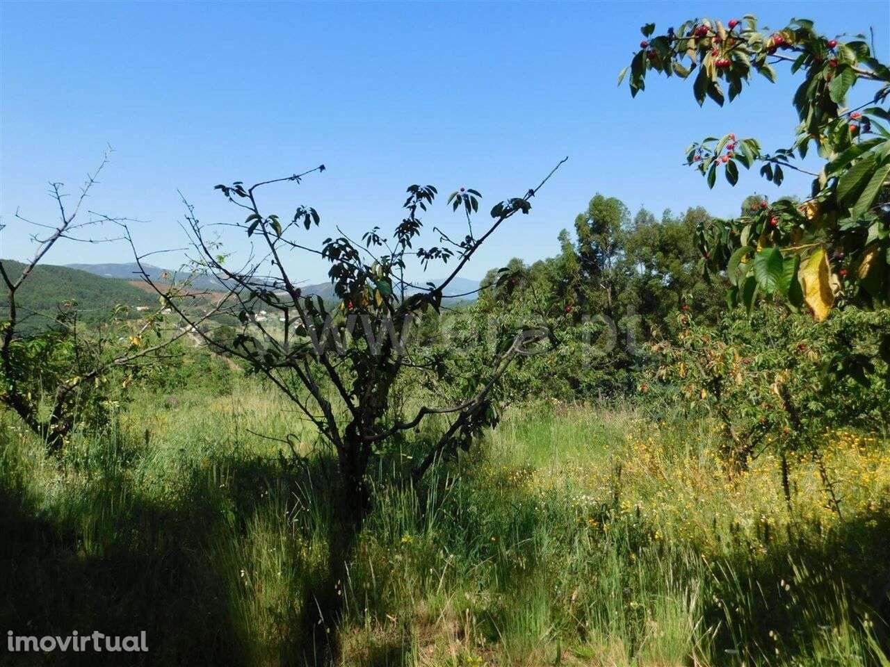 Quinta / Fundão, Souto da Casa - Grande imagem: 2/9