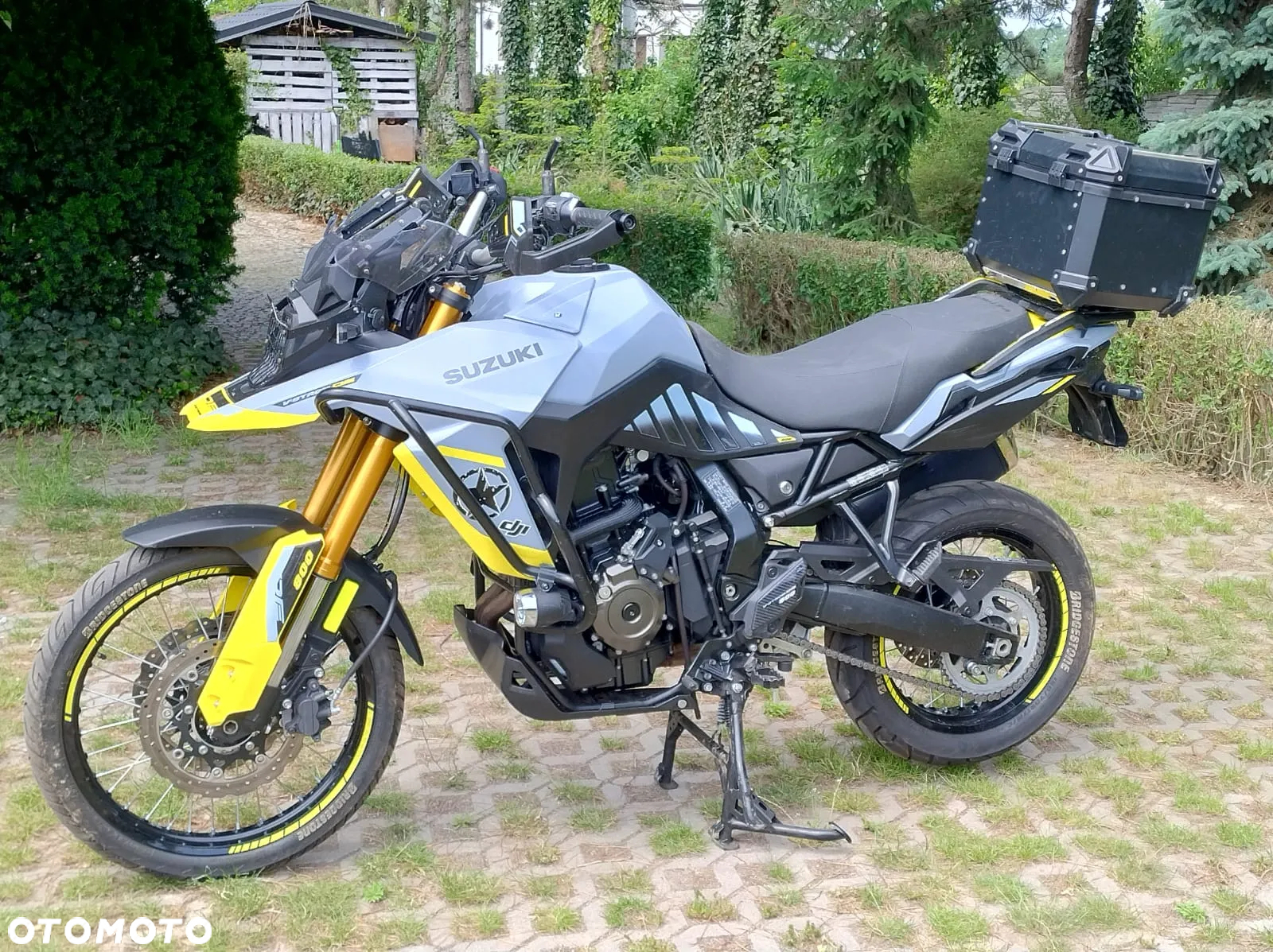 Suzuki DL - 11