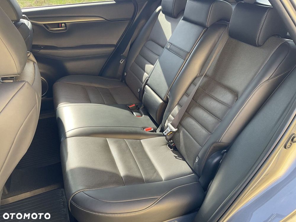 Lexus NX 300h F Sport Edition AWD - 15