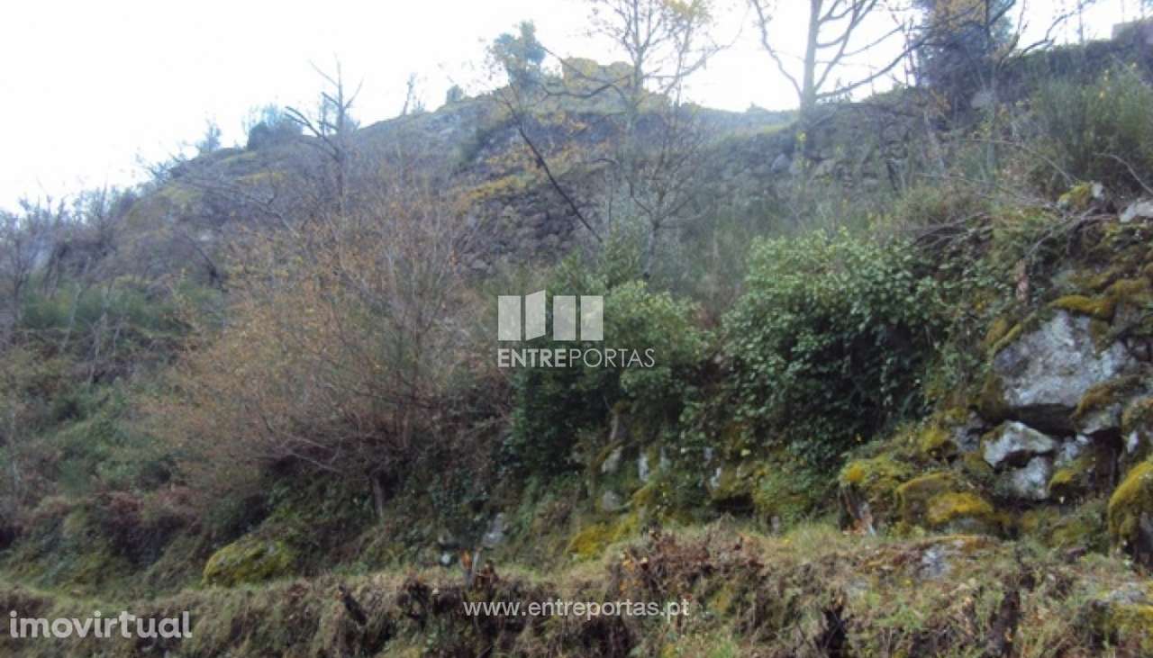 Venda Terreno, Ferreiros de Tendais, Cinfães - Grande imagem: 5/16