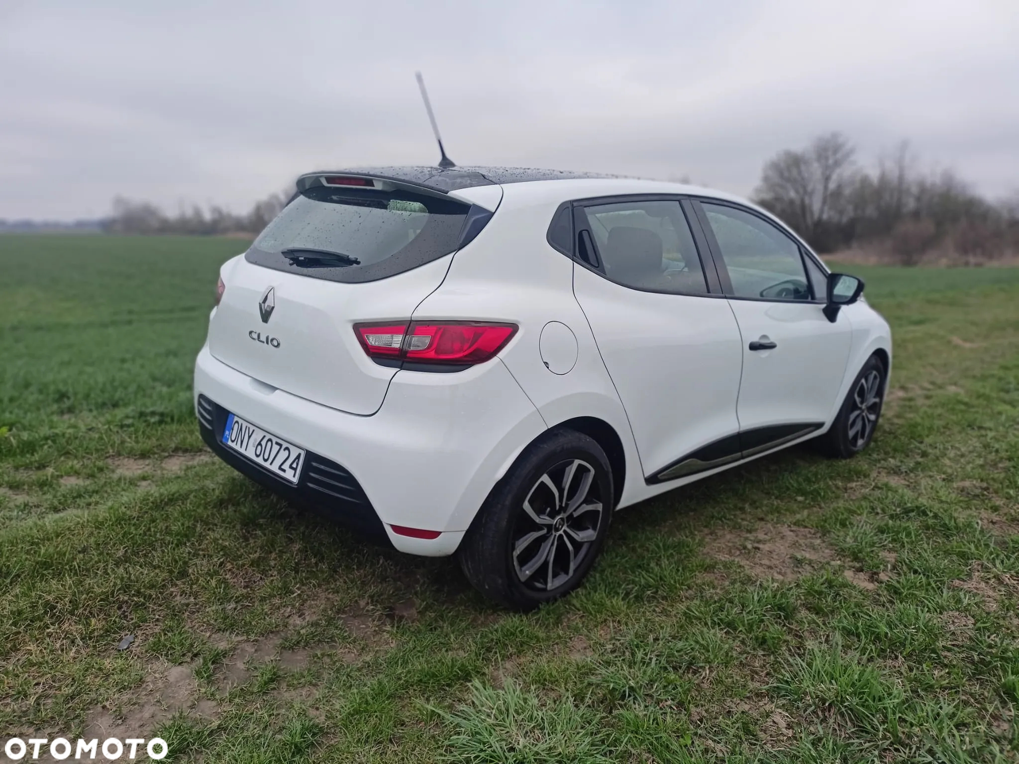 Renault Clio 1.5 dCi Energy Alize - 5