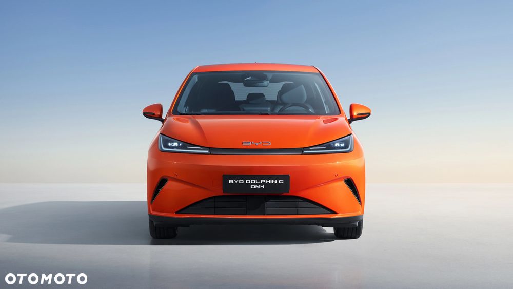 BYD Inny - 4