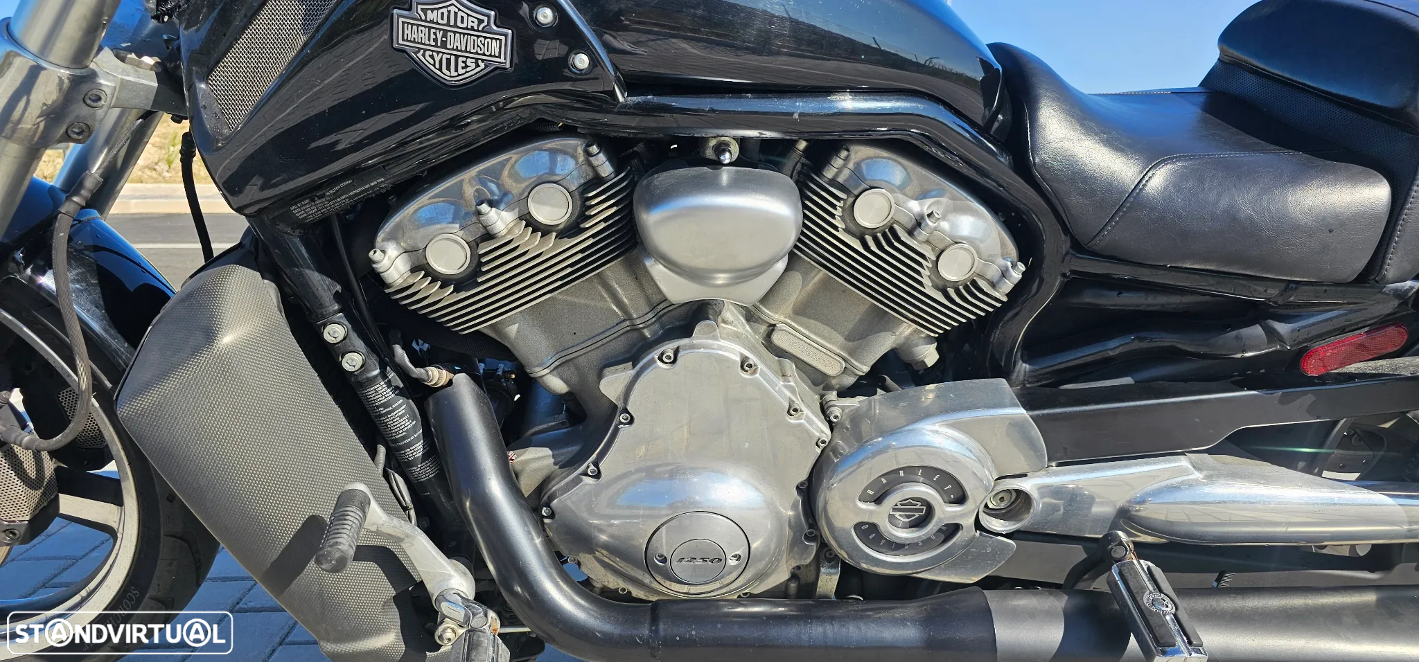 Harley-Davidson VRSCF VROD MUSCLE - 8