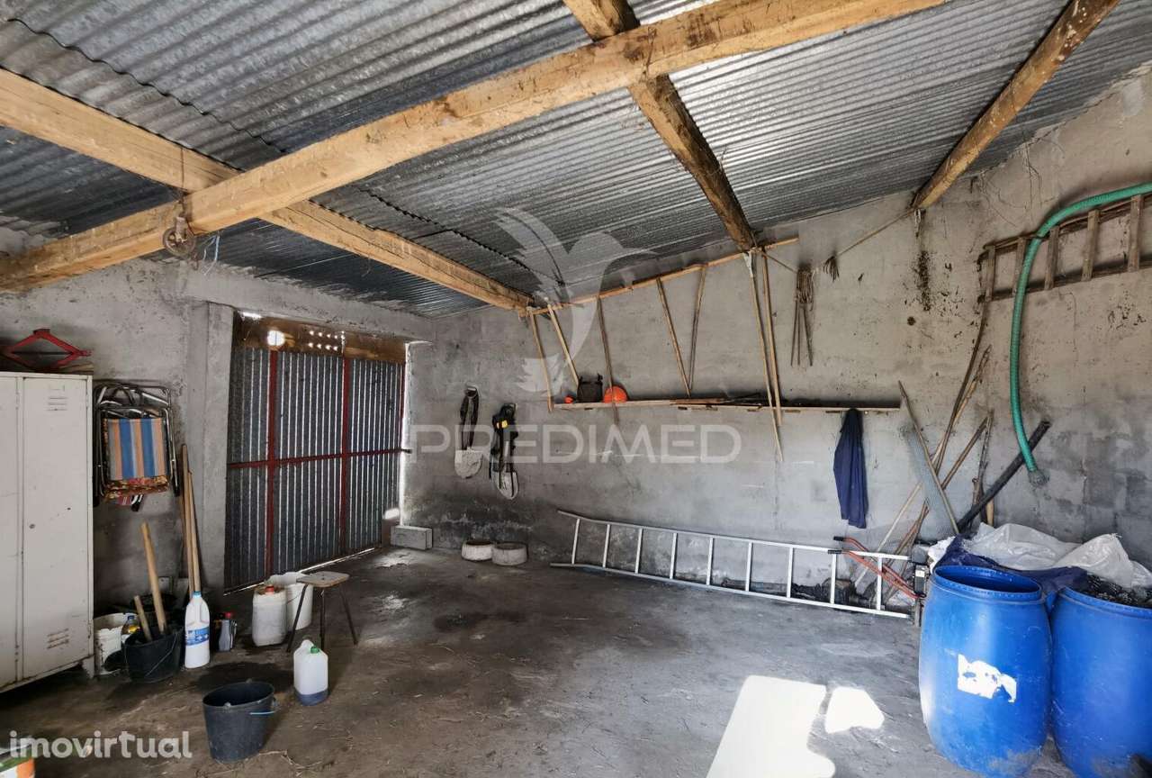 Terreno Rústico de 1000m² à Venda – O Almeirim, Arneiro das Milhariças - Grande imagem: 2/23