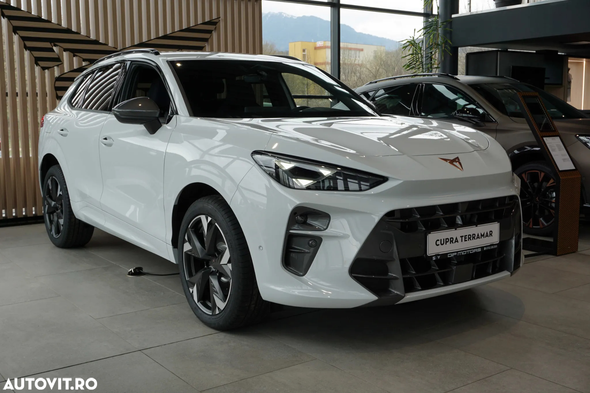 Cupra Terramar - 6