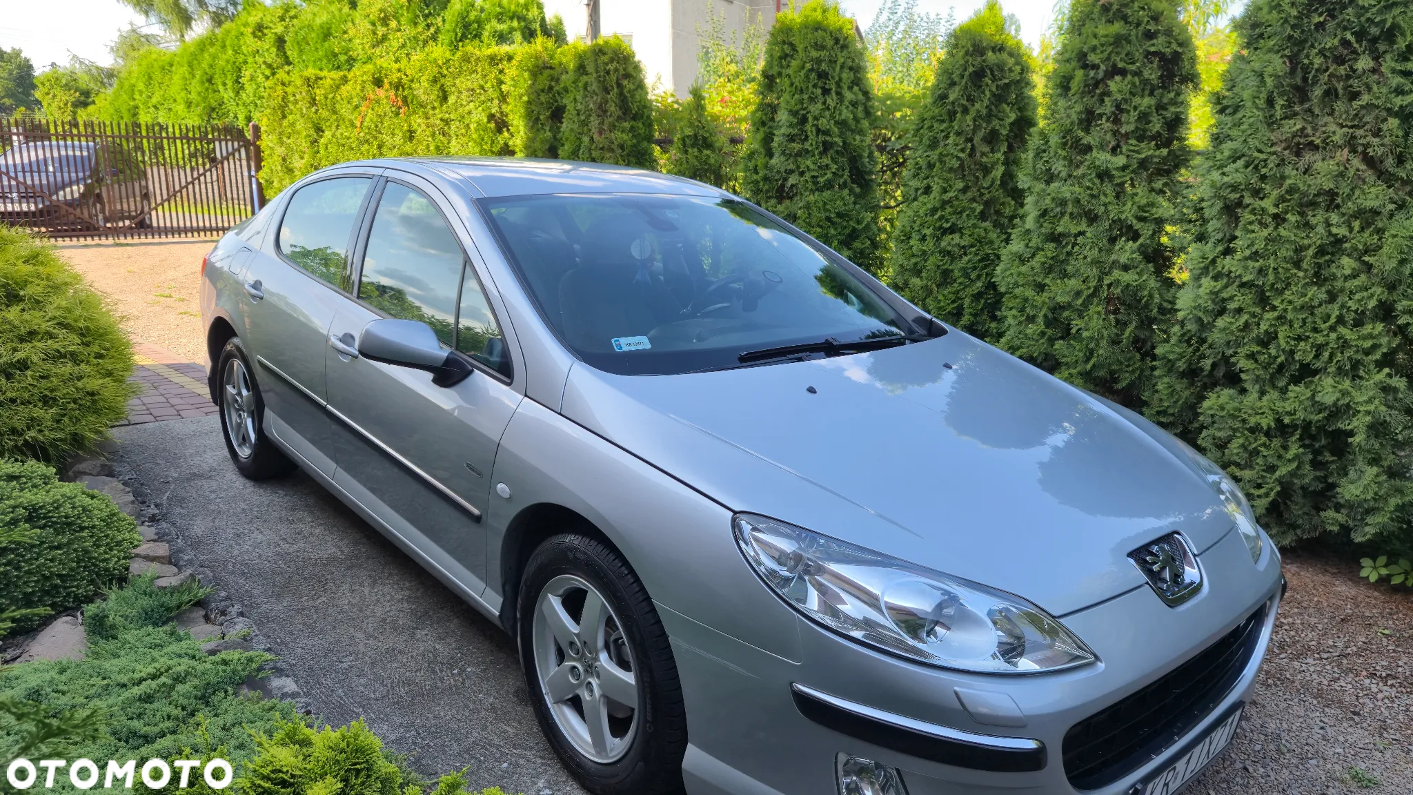 Peugeot 407 - 15
