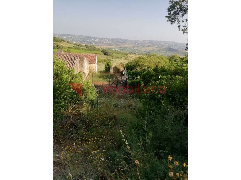 Casa de Habitação para Recuperar - Grande imagem: 5/8