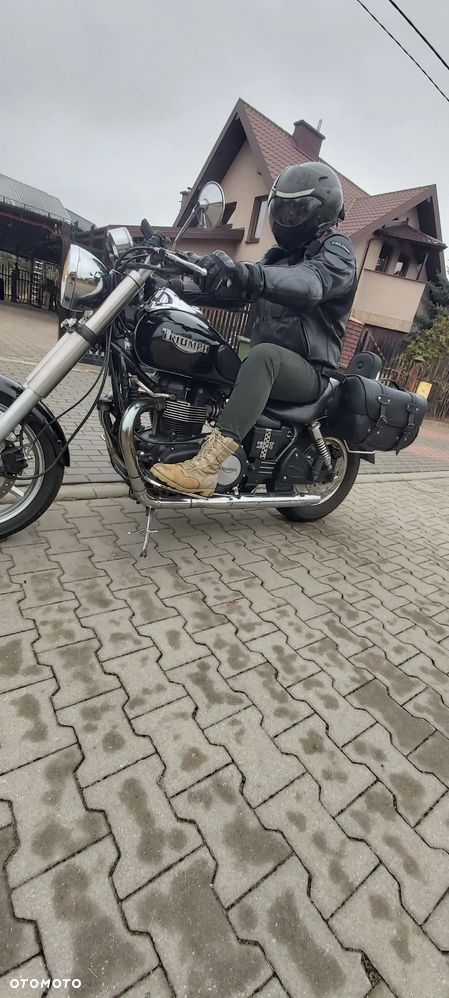 Triumph Speedmaster - 12