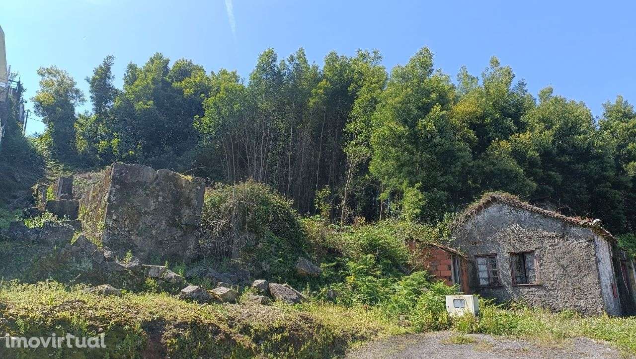 PRÉDIO MISTO ( Urbano e Rústico ) - Oliveira de Azeméis - Grande imagem: 4/8