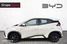 BYD Dolphin Surf - 2