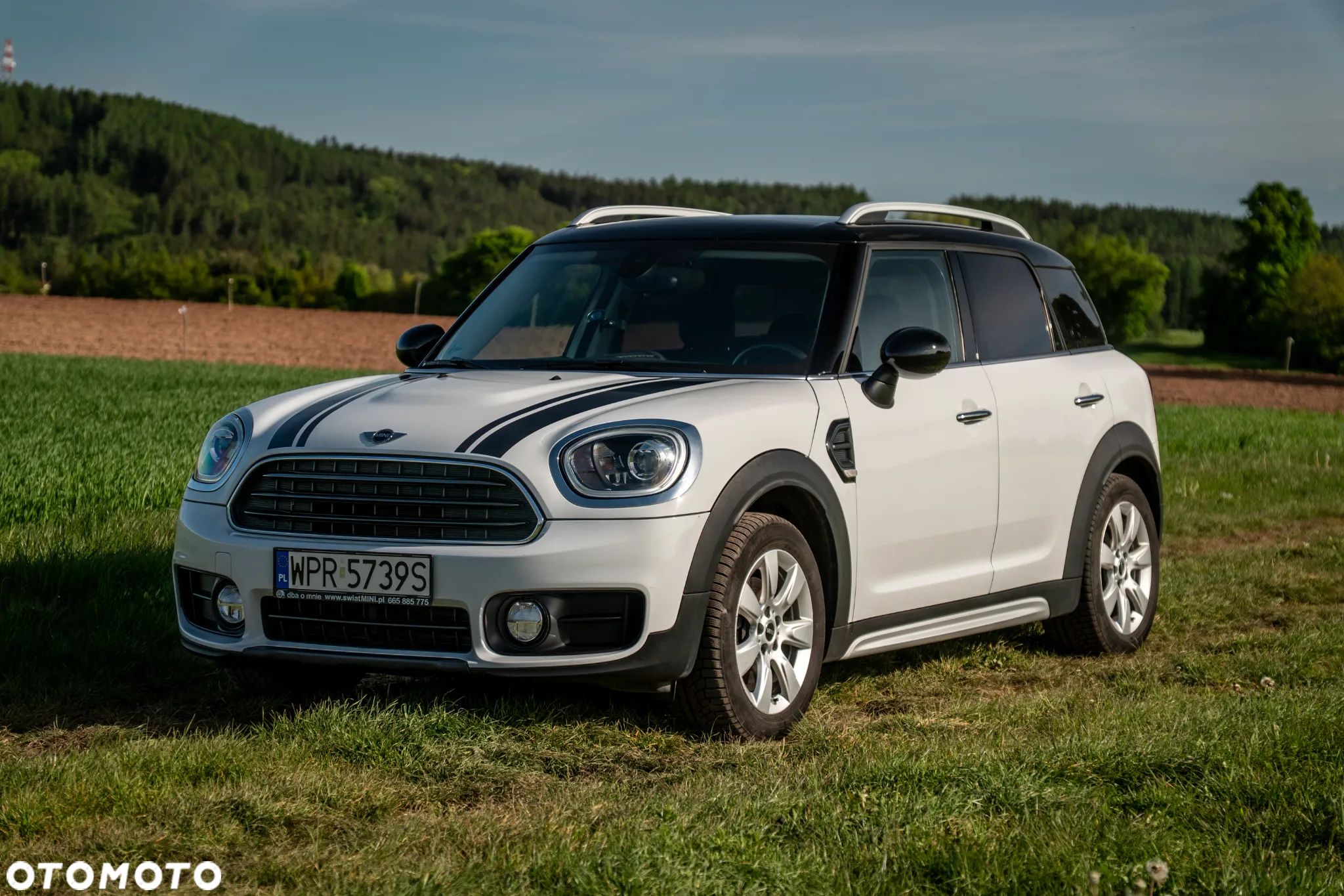 MINI Countryman Cooper D ALL4 - 1