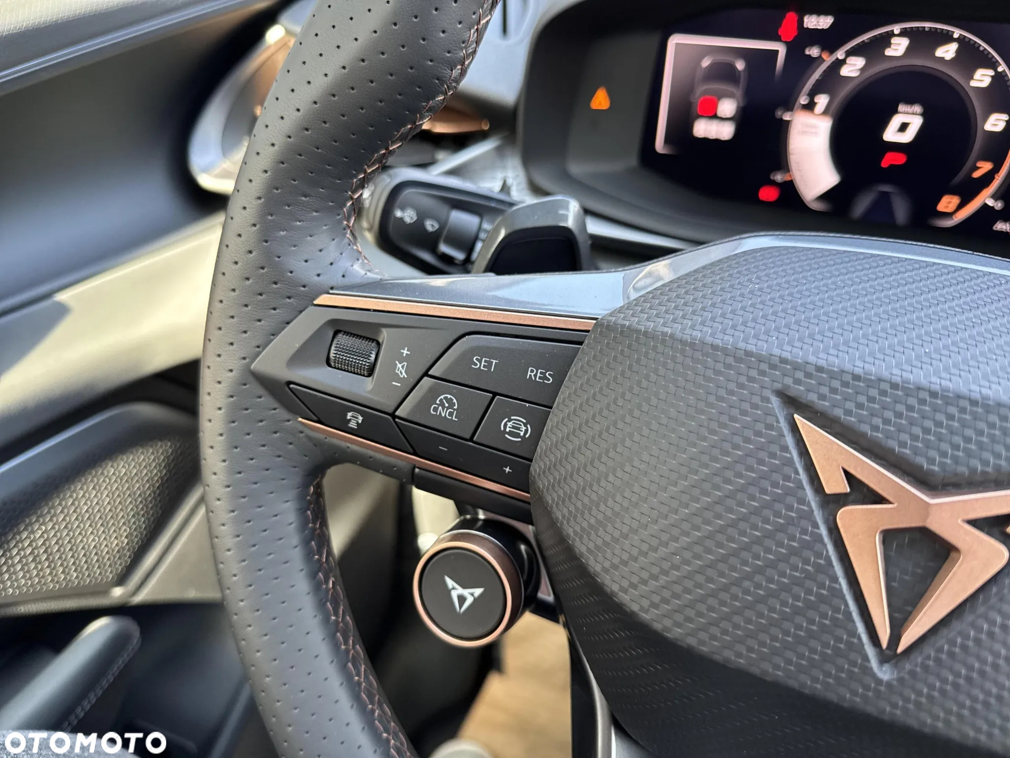 Cupra Terramar 2.0 TSI 4Drive DSG VZ - 19
