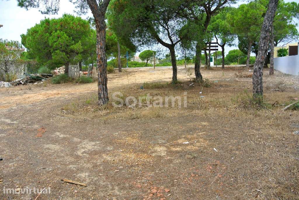 Terreno Para Construção  Venda em Almancil,Loulé - Grande imagem: 2/3