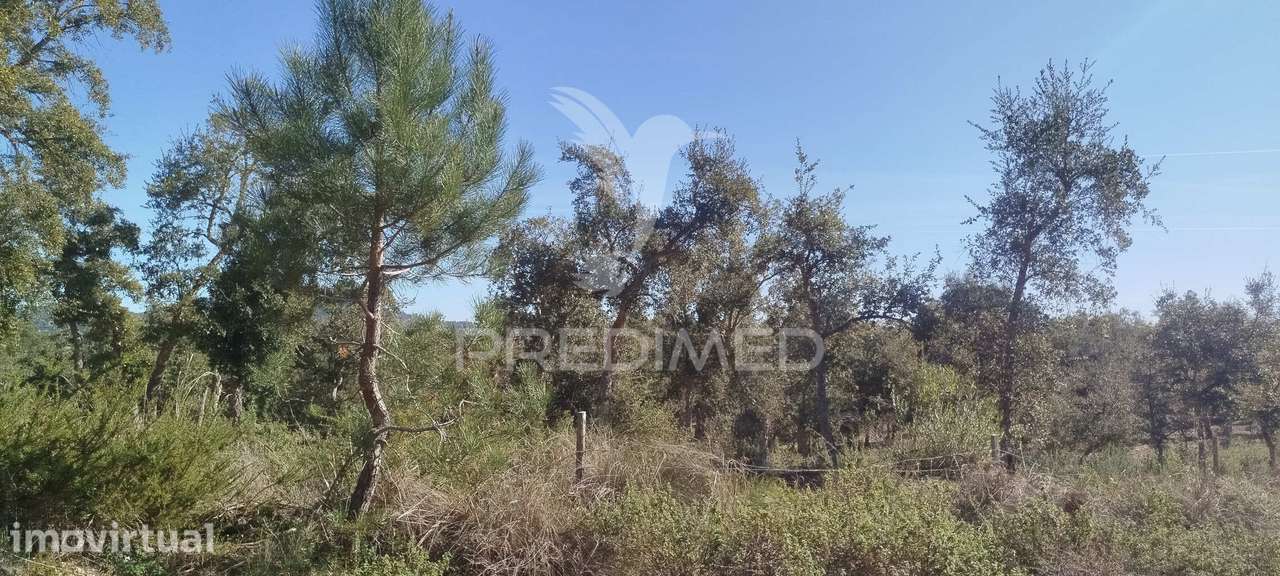 Terreno com ruína em Santiago do Cacém - Grande imagem: 2/5