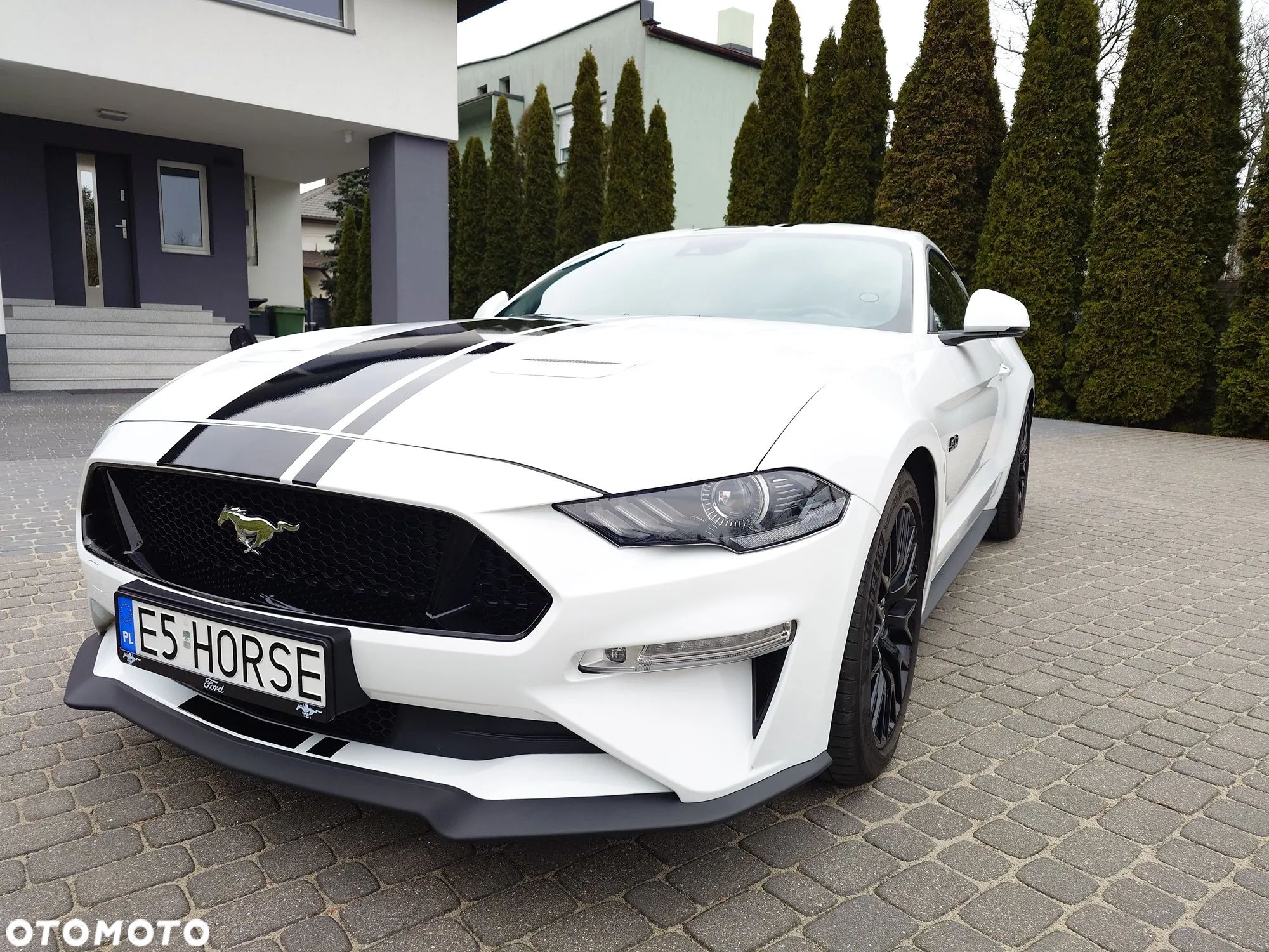 Ford Mustang 5.0 V8 GT - 1