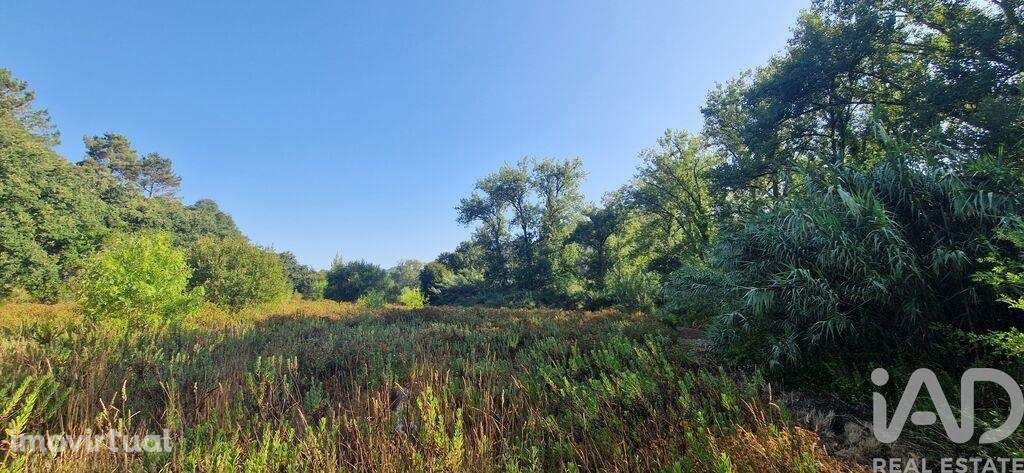 Terreno em Azueira e Sobral da Abelheira de 7500,00 m2 - Grande imagem: 4/18