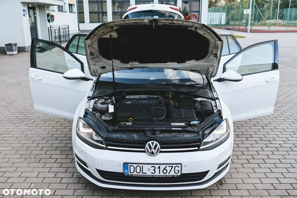 Volkswagen Golf - 26