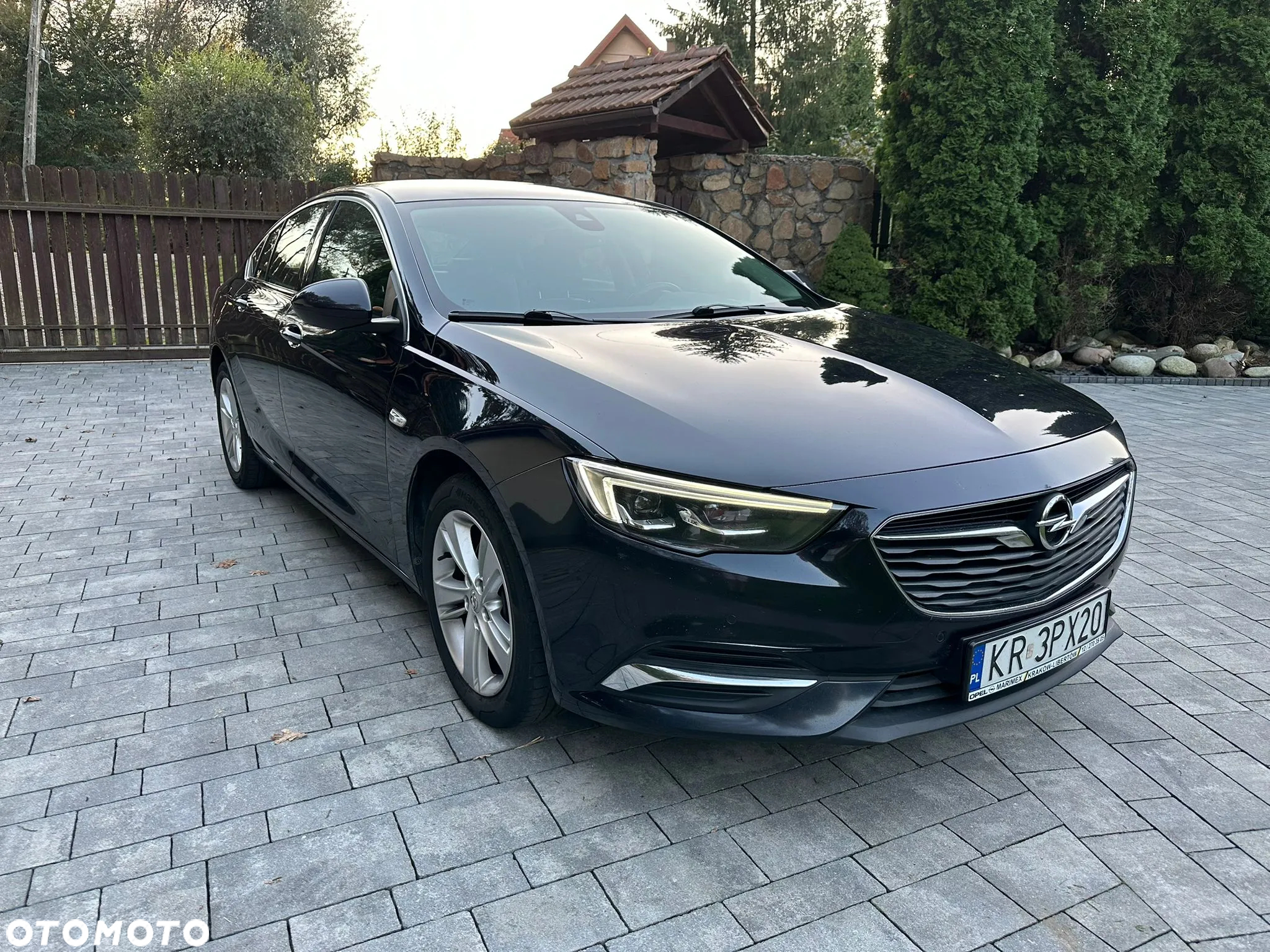 Opel Insignia 2.0 CDTI Elite S&S - 19
