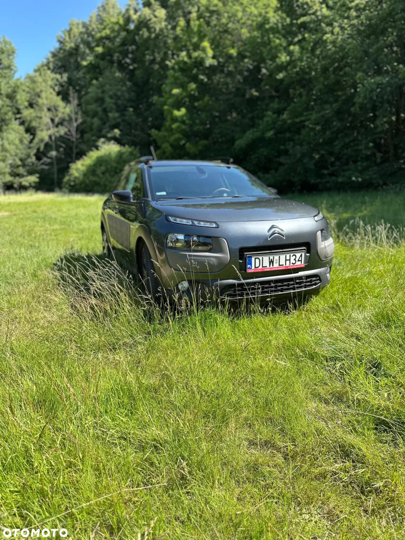 Citroën C4 Cactus 1.6 BlueHDi Feel - 1
