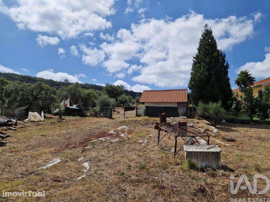 Terreno em Alvados e Alcaria de 3040,00 m2 - Grande imagem: 5/21