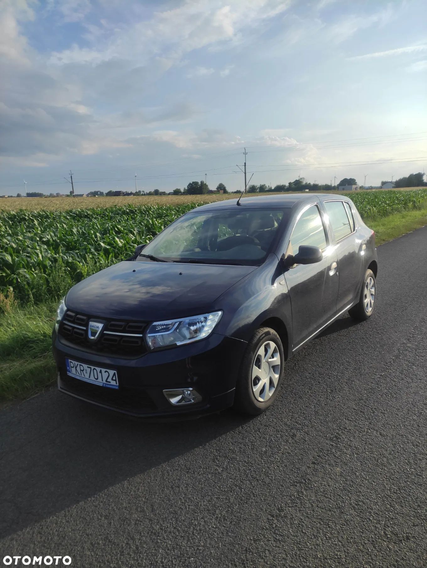 Dacia Sandero - 1